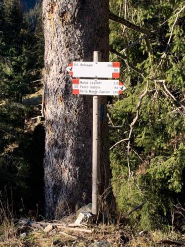 Prima di malga Laghetti