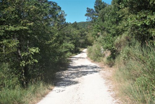 Strada del Serrone
