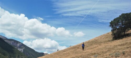 I bellissimi prati del Monte Val Canale